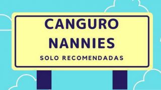 nineras guadalajara Canguro Nannies