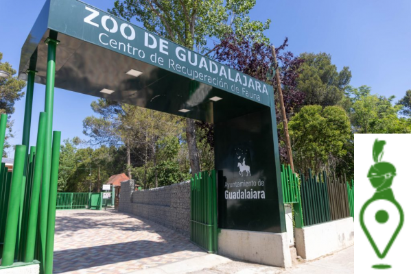 El Zoológico de Guadalajara: Diversidad Animal